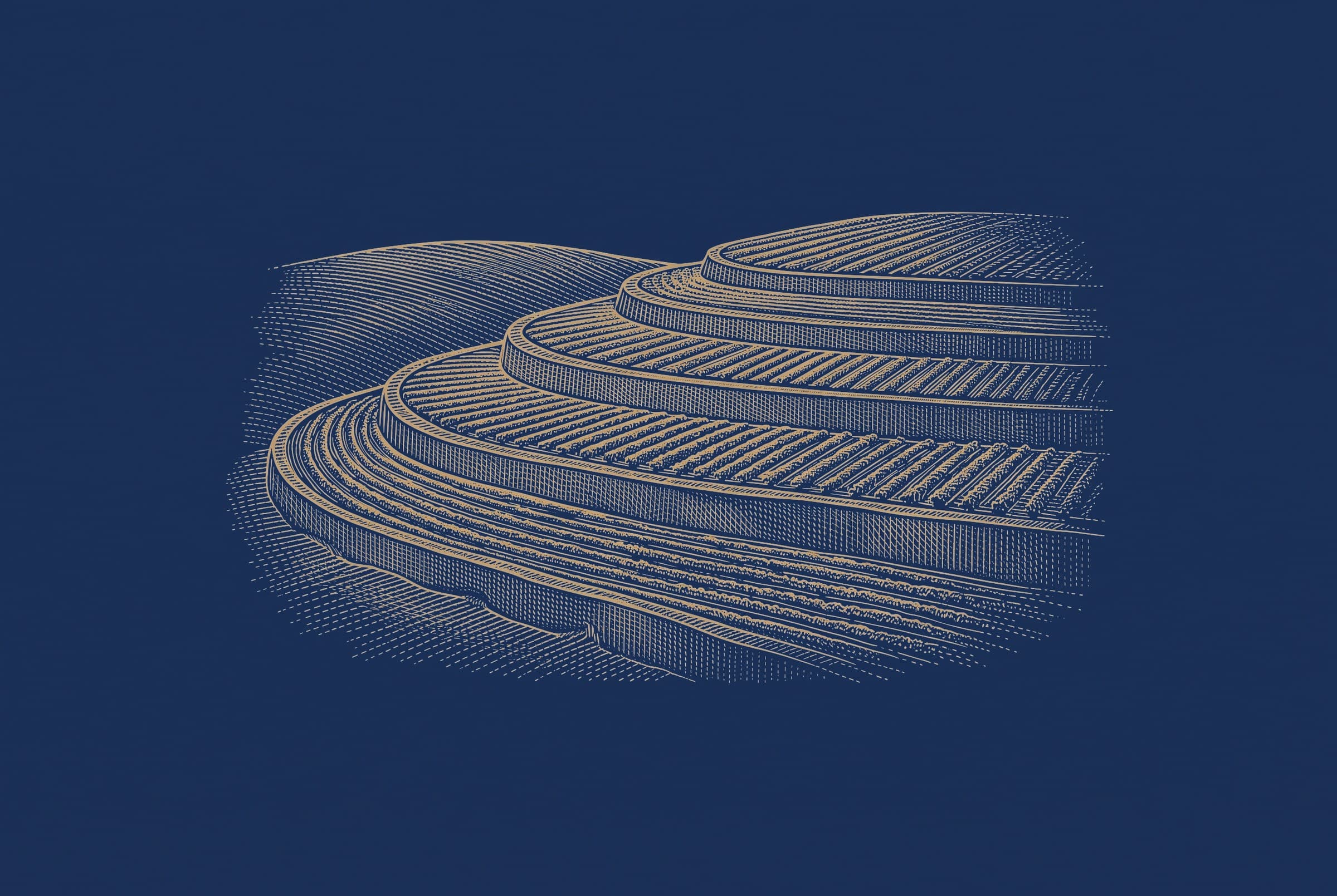 Gold engraving of terraced fields on a gentle hillside on navy